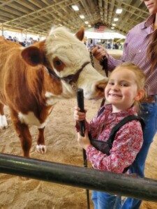 Happy young girl with a RafterT cow at a show