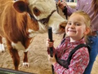 Happy young girl with a RafterT cow at a show